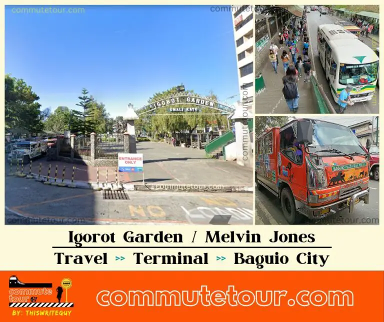 Igorot Garden Terminal | Melvin Jones | Sunshine | 2023